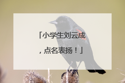 小学生刘云成，点名表扬！
