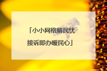 小小网格解民忧 接诉即办暖民心
