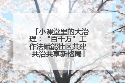 小课堂里的大治理：“百千万”工作法赋能社区共建共治共享新格局