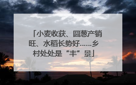 小麦收获、圆葱产销旺、水稻长势好……乡村处处是“丰”景