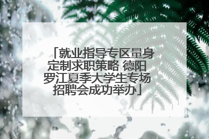 就业指导专区量身定制求职策略 德阳罗江夏季大学生专场招聘会成功举办