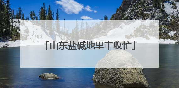 山东盐碱地里丰收忙