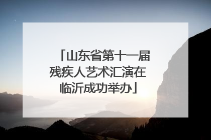 山东省第十一届残疾人艺术汇演在临沂成功举办