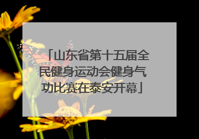 山东省第十五届全民健身运动会健身气功比赛在泰安开幕