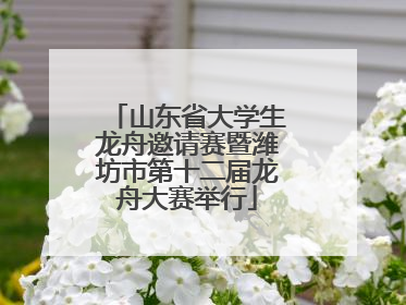 山东省大学生龙舟邀请赛暨潍坊市第十二届龙舟大赛举行