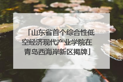 山东省首个综合性低空经济现代产业学院在青岛西海岸新区揭牌
