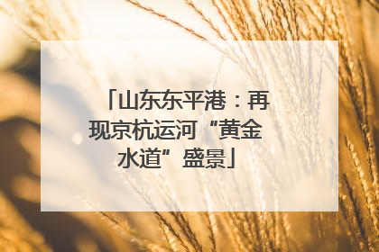 山东东平港：再现京杭运河“黄金水道”盛景