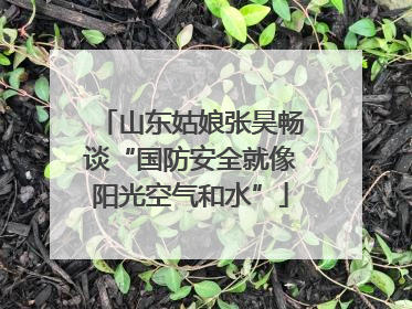 山东姑娘张昊畅谈“国防安全就像阳光空气和水”
