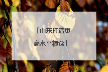 山东打造更高水平粮仓