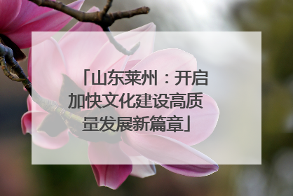 山东莱州：开启加快文化建设高质量发展新篇章