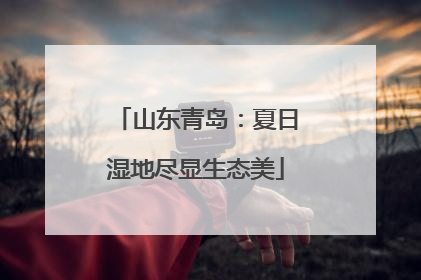 山东青岛：夏日湿地尽显生态美