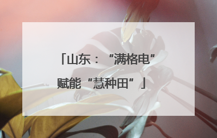 山东：“满格电”赋能“慧种田”