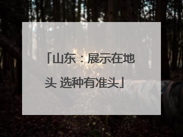 山东：展示在地头 选种有准头
