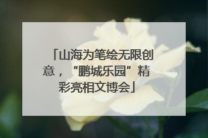 山海为笔绘无限创意，“鹏城乐园”精彩亮相文博会