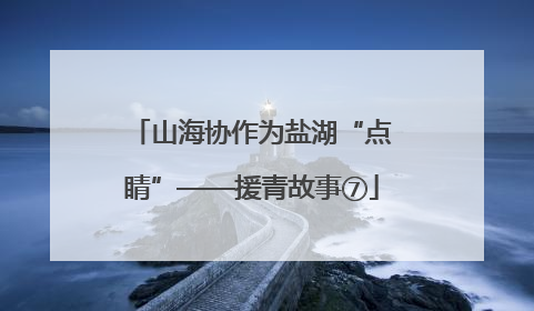 山海协作为盐湖“点睛”——援青故事⑦