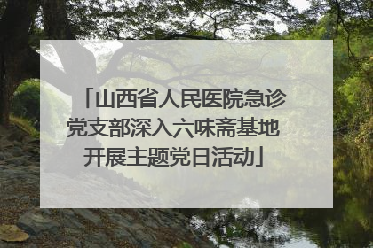 山西省人民医院急诊党支部深入六味斋基地开展主题党日活动