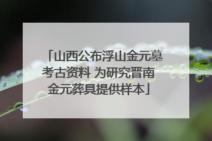 山西公布浮山金元墓考古资料 为研究晋南金元葬具提供样本