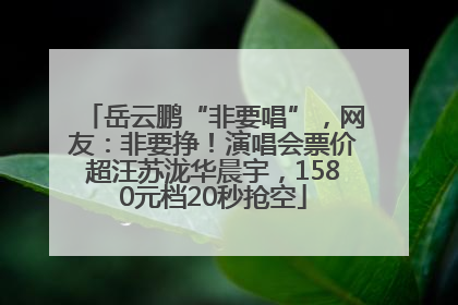 岳云鹏“非要唱”，网友：非要挣！演唱会票价超汪苏泷华晨宇，1580元档20秒抢空