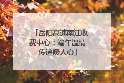 岳阳高速南江收费中心：端午温情传递暖人心