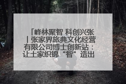 峰林聚智 科创兴张丨张家界旅典文化经营有限公司博士创新站：让土家织锦“智”造出非遗新传奇