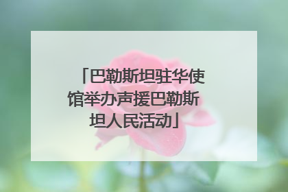 巴勒斯坦驻华使馆举办声援巴勒斯坦人民活动