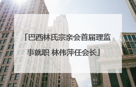 巴西林氏宗亲会首届理监事就职 林伟萍任会长