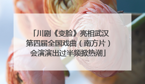 川剧《变脸》亮相武汉 第四届全国戏曲（南方片）会演演出过半频掀热潮