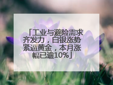 工业与避险需求齐发力，白银涨势紧逼黄金，本月涨幅已逾10%