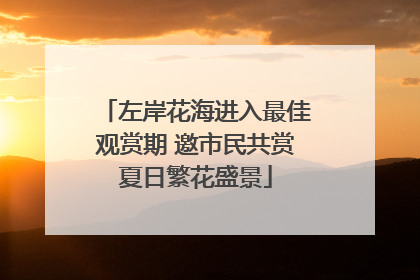 左岸花海进入最佳观赏期 邀市民共赏夏日繁花盛景
