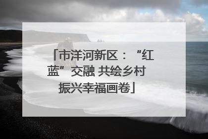 市洋河新区：“红蓝”交融 共绘乡村振兴幸福画卷