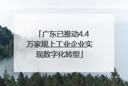 广东已推动4.4万家规上工业企业实现数字化转型