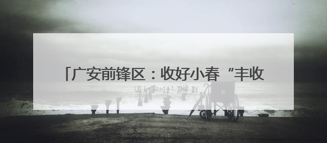 广安前锋区：收好小春“丰收粮” 种稳大春“希望田”