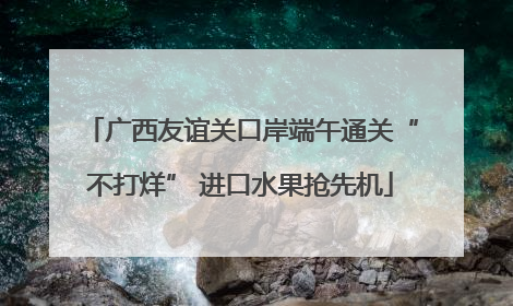 广西友谊关口岸端午通关“不打烊” 进口水果抢先机
