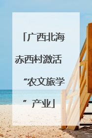 广西北海赤西村激活“农文旅学”产业