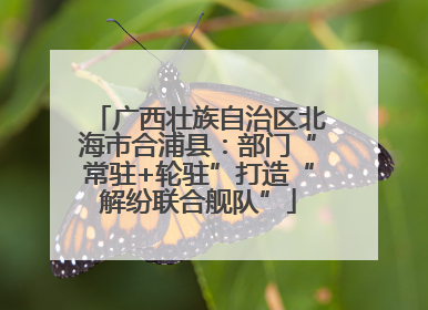 广西壮族自治区北海市合浦县：部门“常驻+轮驻”打造“解纷联合舰队”