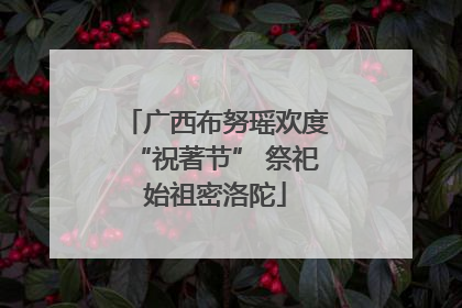 广西布努瑶欢度“祝著节” 祭祀始祖密洛陀