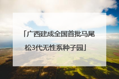 广西建成全国首批马尾松3代无性系种子园