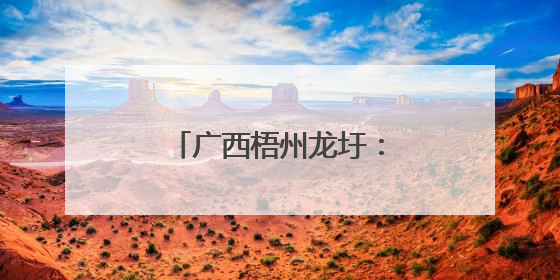 广西梧州龙圩：动车飞驰过田野