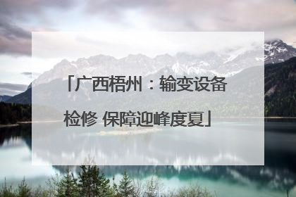 广西梧州：输变设备检修 保障迎峰度夏