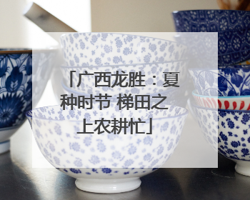 广西龙胜：夏种时节 梯田之上农耕忙