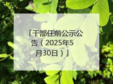干部任前公示公告（2025年5月30日）