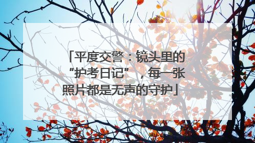 平度交警：镜头里的“护考日记”，每一张照片都是无声的守护
