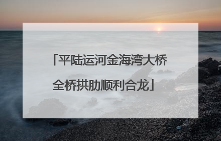 平陆运河金海湾大桥全桥拱肋顺利合龙