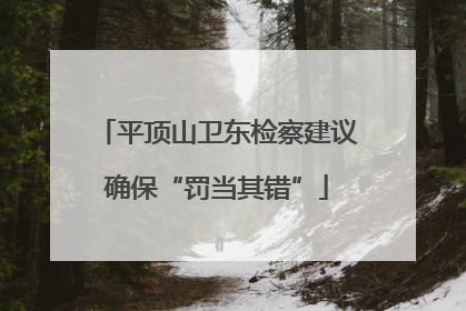 平顶山卫东检察建议确保“罚当其错”