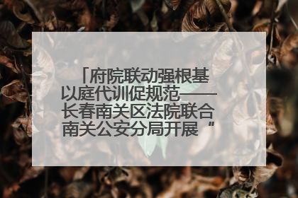 府院联动强根基 以庭代训促规范——长春南关区法院联合南关公安分局开展“以庭代训”