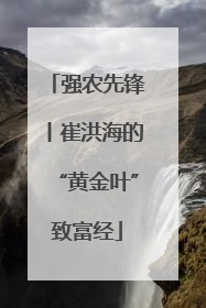 强农先锋丨崔洪海的“黄金叶”致富经
