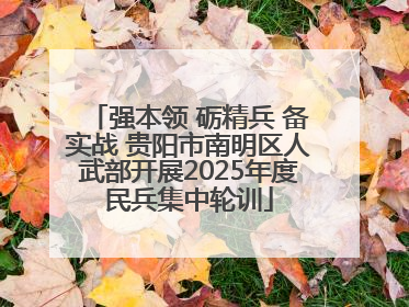 强本领 砺精兵 备实战 贵阳市南明区人武部开展2025年度民兵集中轮训