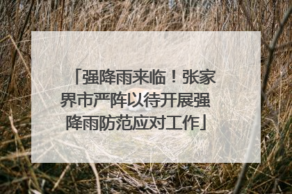 强降雨来临！张家界市严阵以待开展强降雨防范应对工作