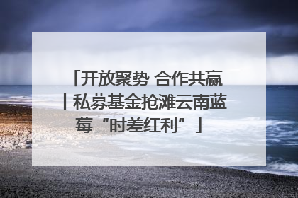 开放聚势 合作共赢丨私募基金抢滩云南蓝莓“时差红利”