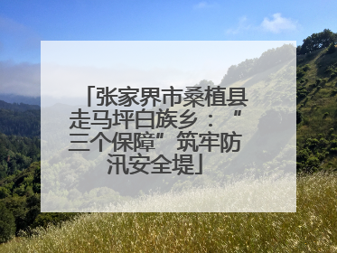 张家界市桑植县走马坪白族乡：“三个保障”筑牢防汛安全堤